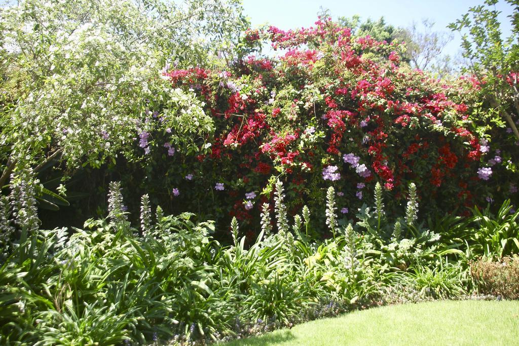 Melville Manor Guest House Johannesburg Kültér fotó
