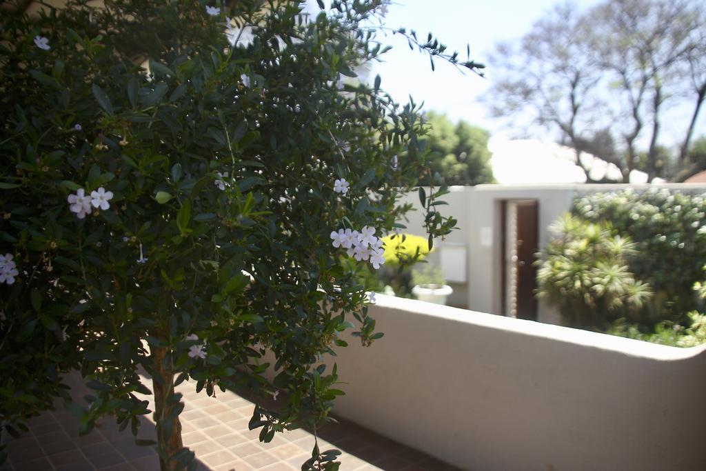 Melville Manor Guest House Johannesburg Kültér fotó