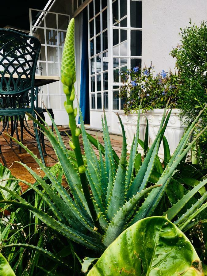 Melville Manor Guest House Johannesburg Kültér fotó